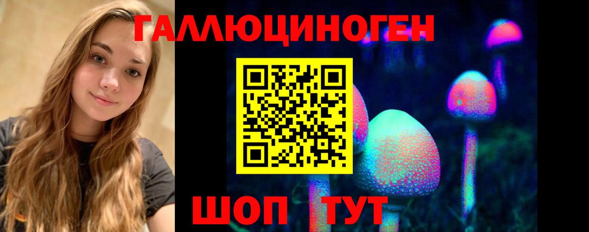 Галлюциногенные грибы мицелий  Вход с VPN  Псилоцибиновые грибы Psilocybine cubensis  купить  цена  Тамбов 